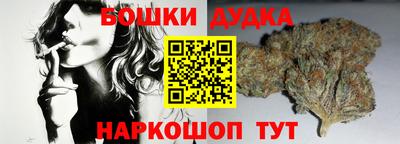 МДПВ Пушкино