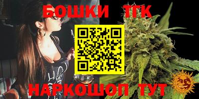 МДПВ Пушкино